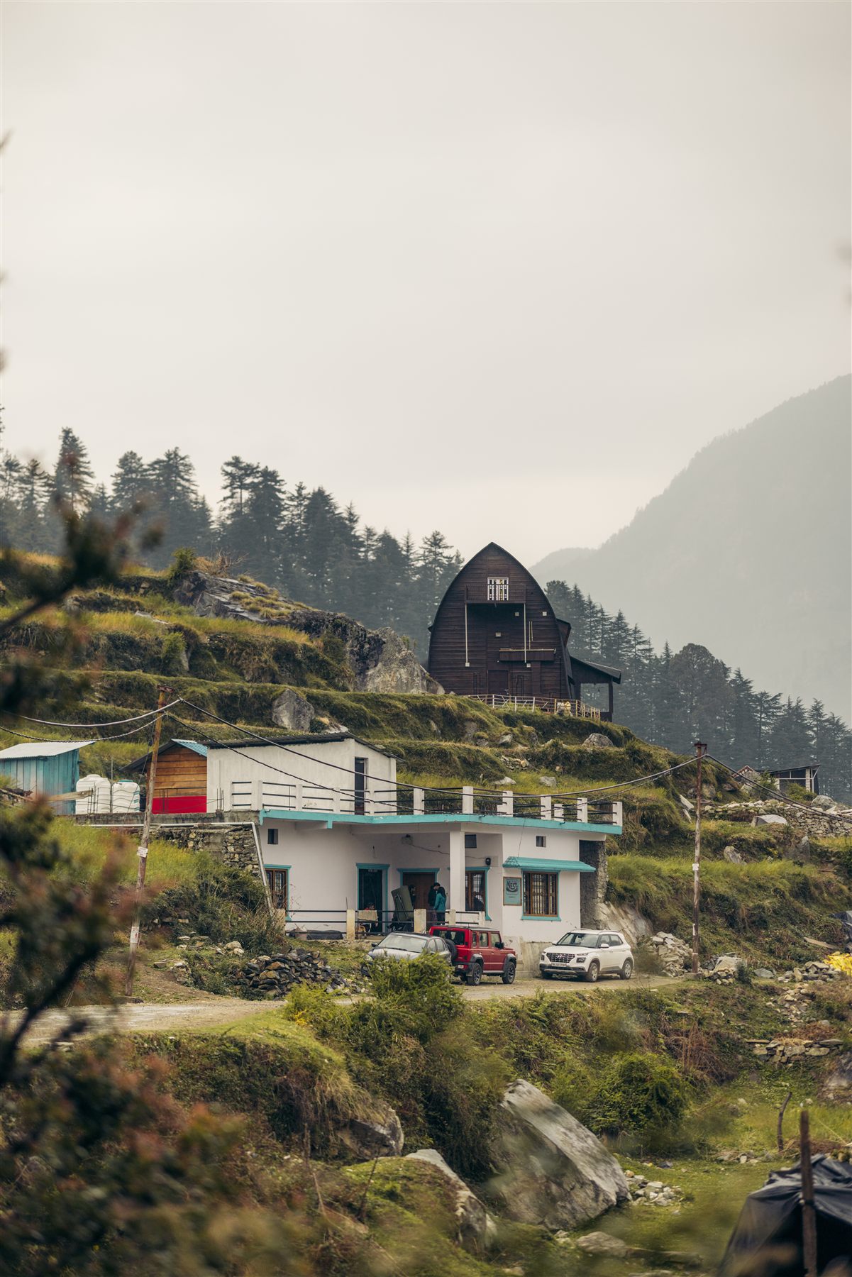 The Nest homestay in Sankri, Uttarakhand